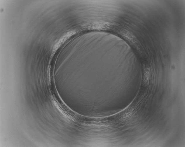 X0000057060678200509231533