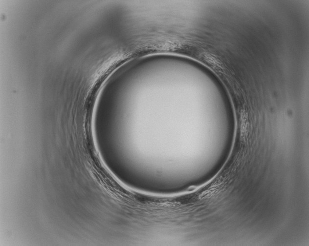 X0000057060679200509231533