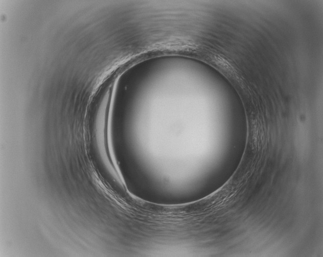 X0000057060680200509231533