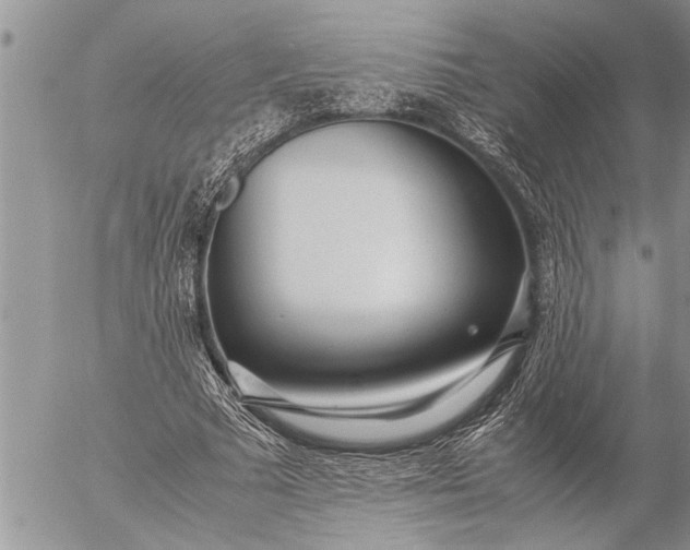 X0000057060681200509231533