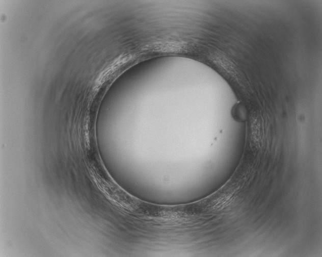 X0000057060682200509231533