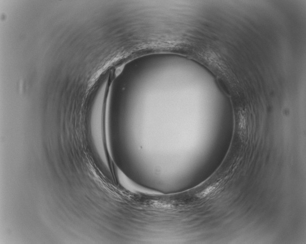 X0000057060684200509231532