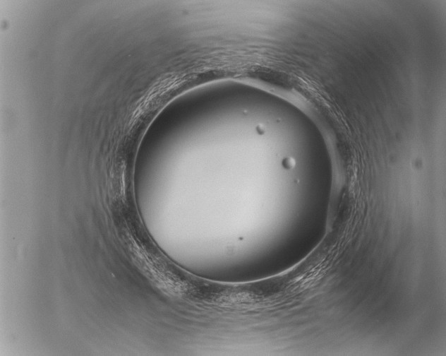 X0000057060685200509231532