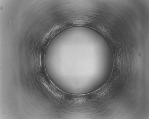 X0000057060686200509231532