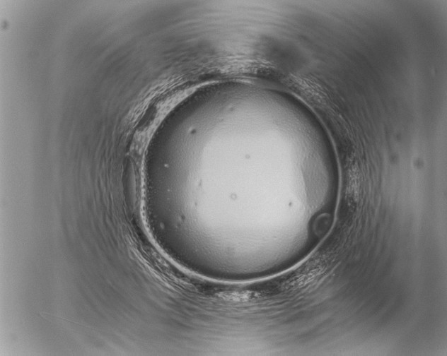 X0000057060687200509231532