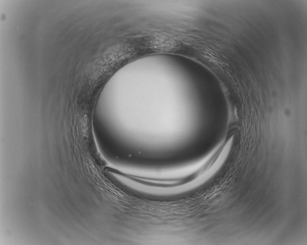 X0000057060689200509231532