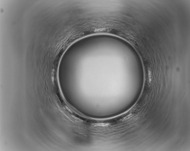 X0000057060691200509231532