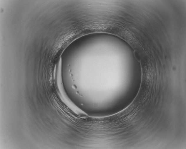 X0000057060692200509231532