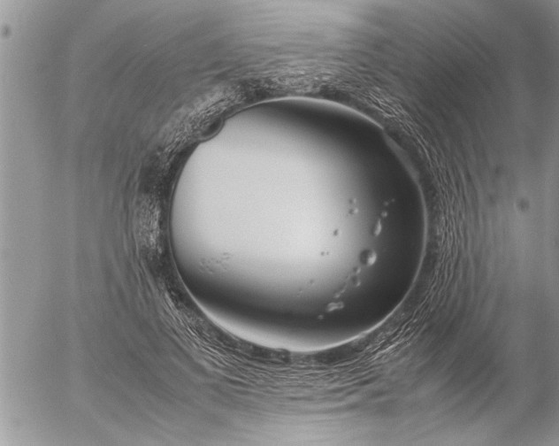 X0000057060693200509231532