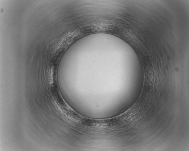 X0000057060694200509231532