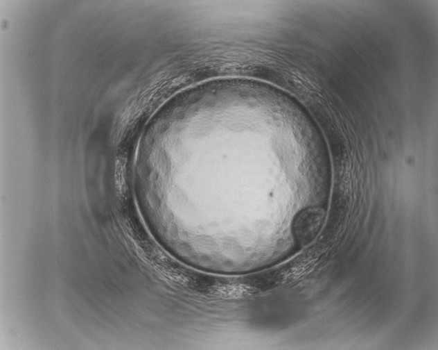 X0000057060695200509231532