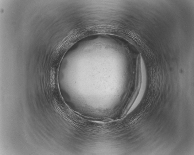 X0000057060696200509231532