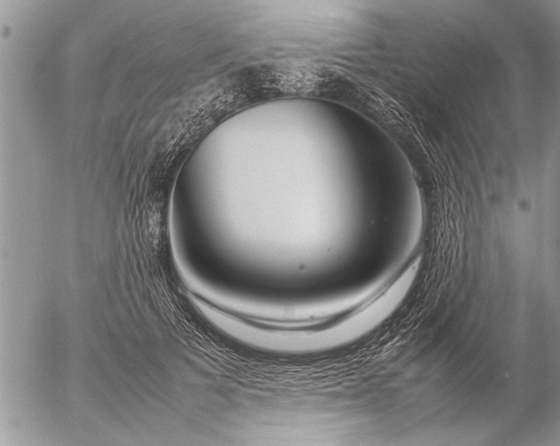 X0000057060697200509231532