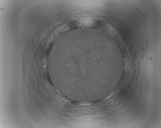 X0000057060701200509231532