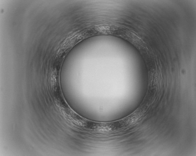 X0000057060702200509231532