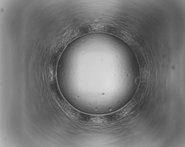 X0000057060703200509231532