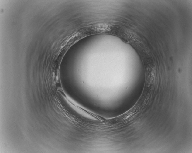 X0000057060704200509231532