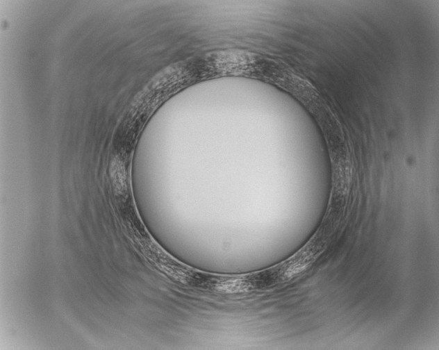 X0000057060705200509231532