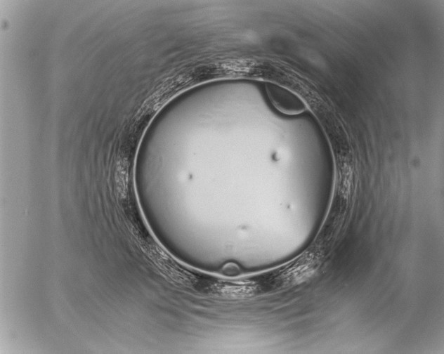 X0000057060707200509231532