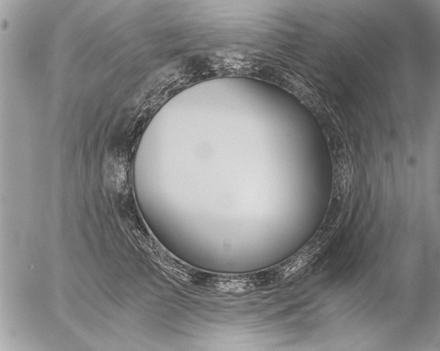 X0000057060709200509231532