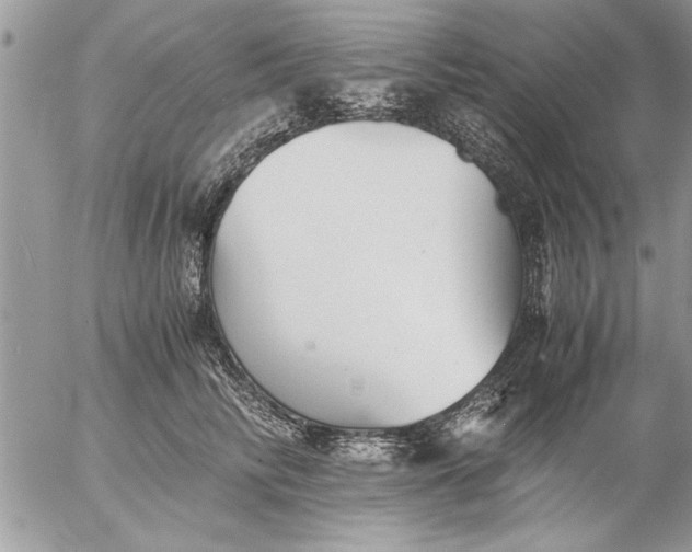 X0000057060710200509231532