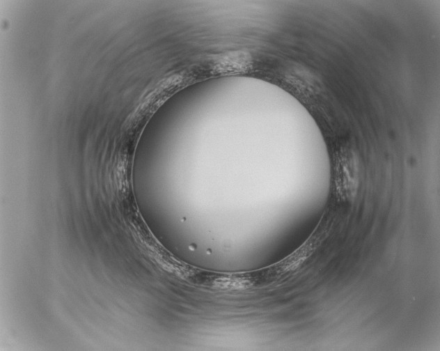 X0000057060714200509231532