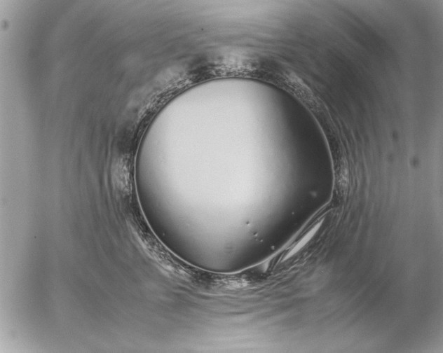 X0000057060715200509231532