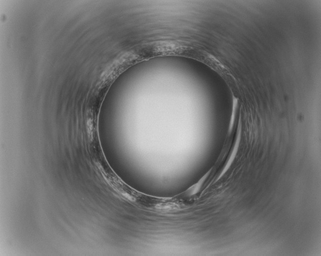 X0000057060716200509231532