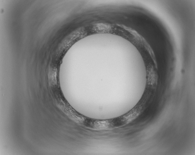 X0000057060717200509231532