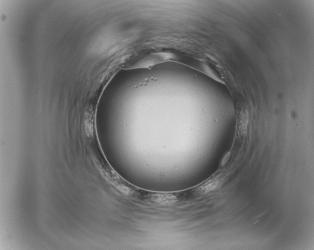 X0000057060719200509231532