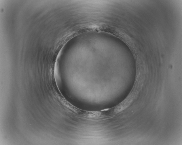 X0000057060720200509231532