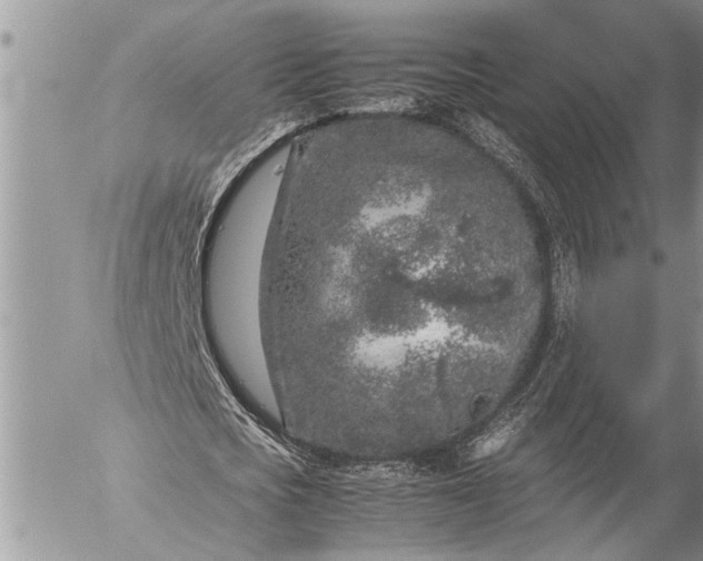 X0000057060721200509231531