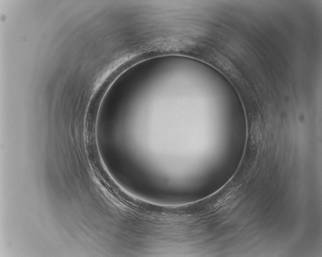 X0000057060722200509231531