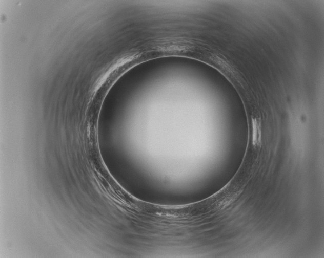 X0000057060723200509231531