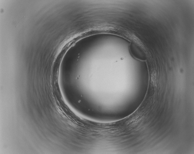 X0000057060724200509231531