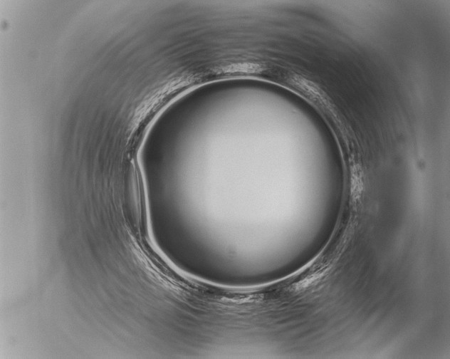 X0000057060725200509231531