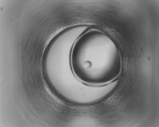 X0000057060726200509231531