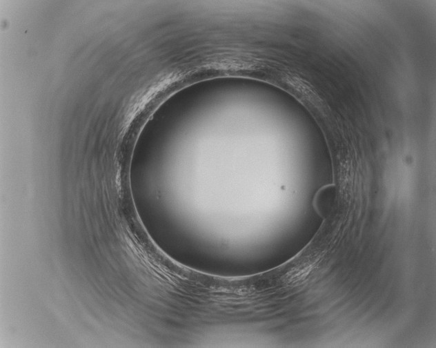 X0000057060727200509231531