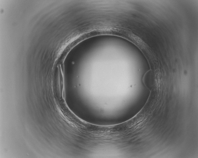 X0000057060728200509231531