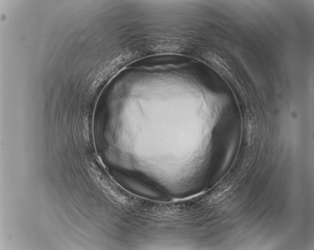 X0000057060729200509231531