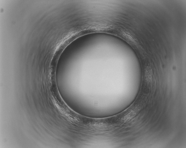 X0000057060730200509231531