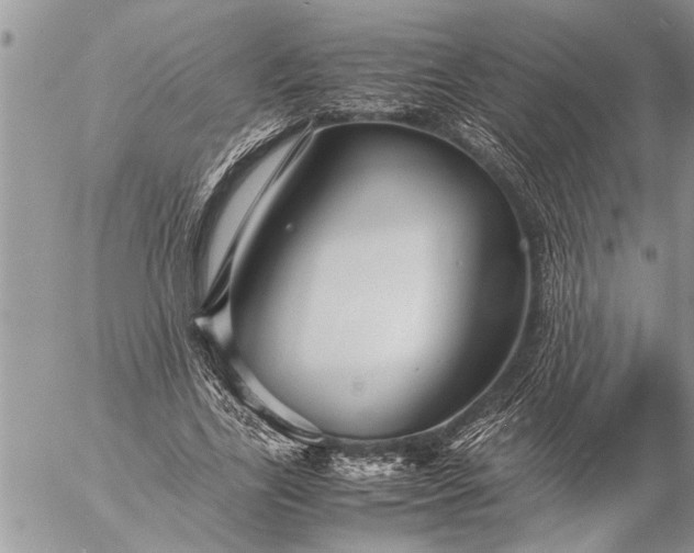 X0000057060731200509231531