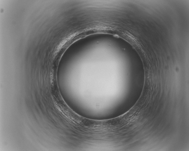 X0000057060732200509231531