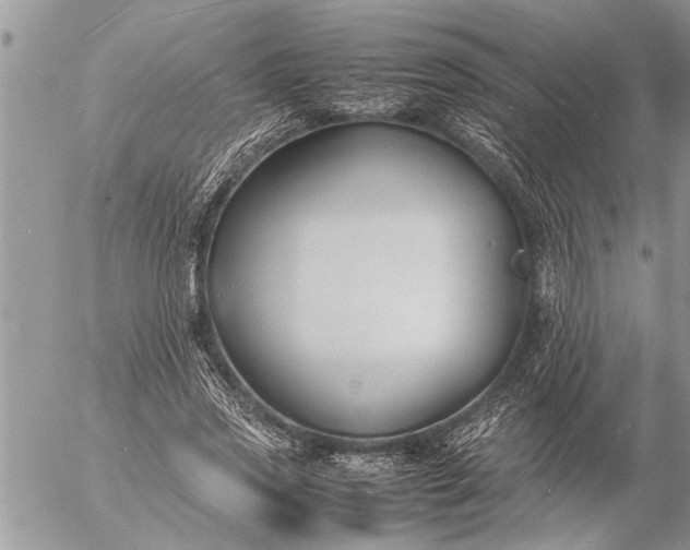 X0000057060733200509231531