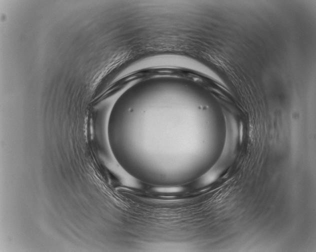 X0000057060735200509231531