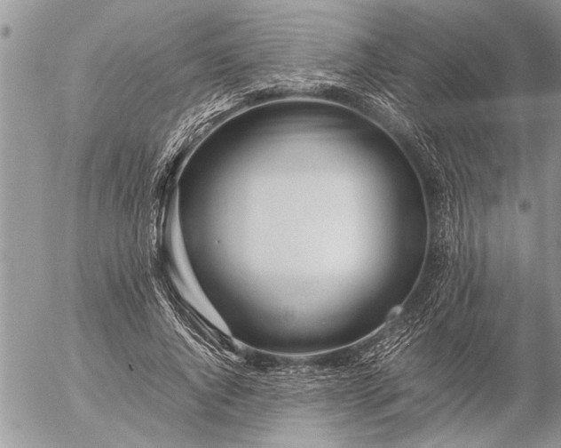 X0000057060736200509231531