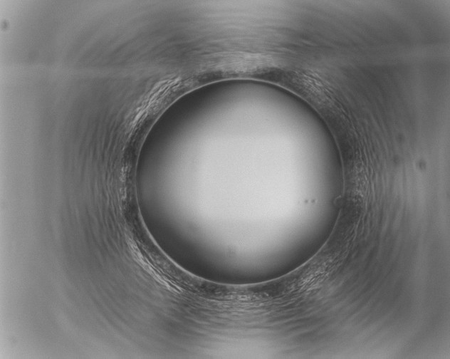 X0000057060738200509231531