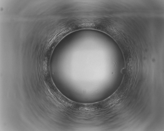 X0000057060739200509231531