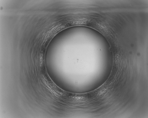 X0000057060741200509231531