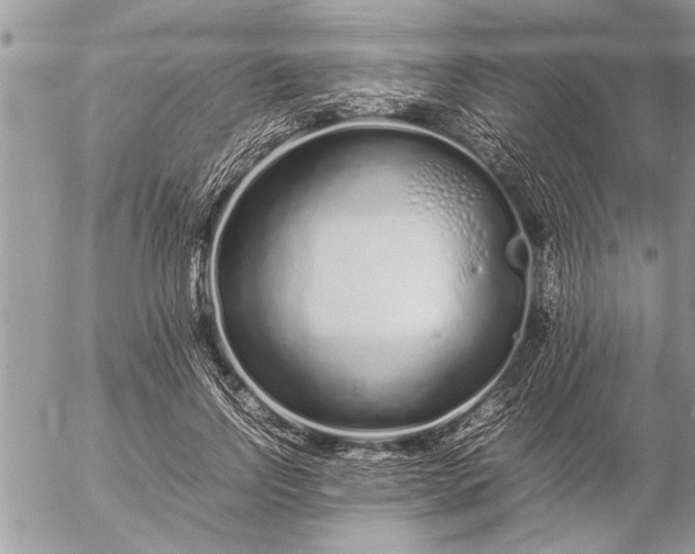 X0000057060742200509231531